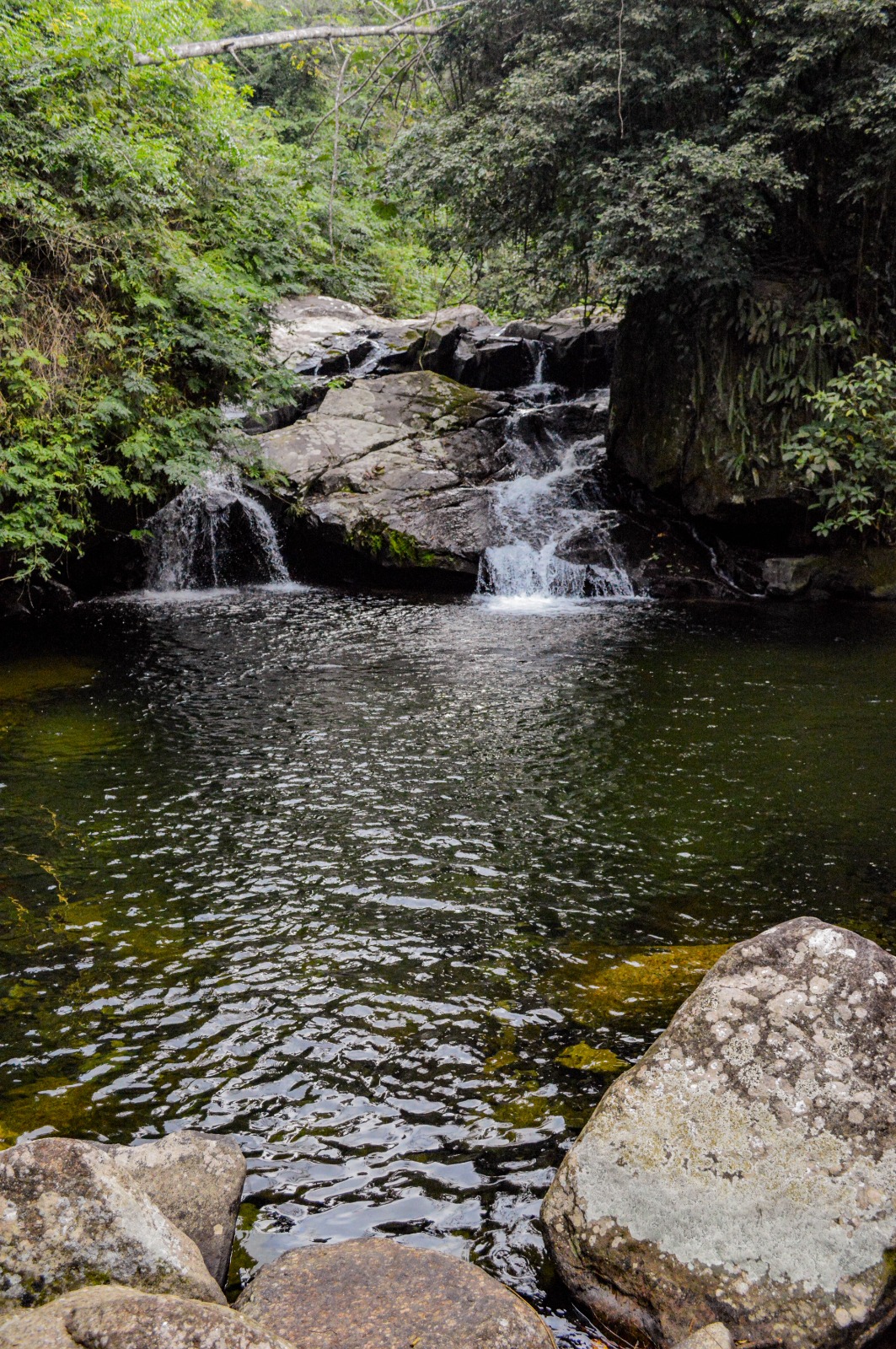 Jeep Tour Cachoeiras — foto 1